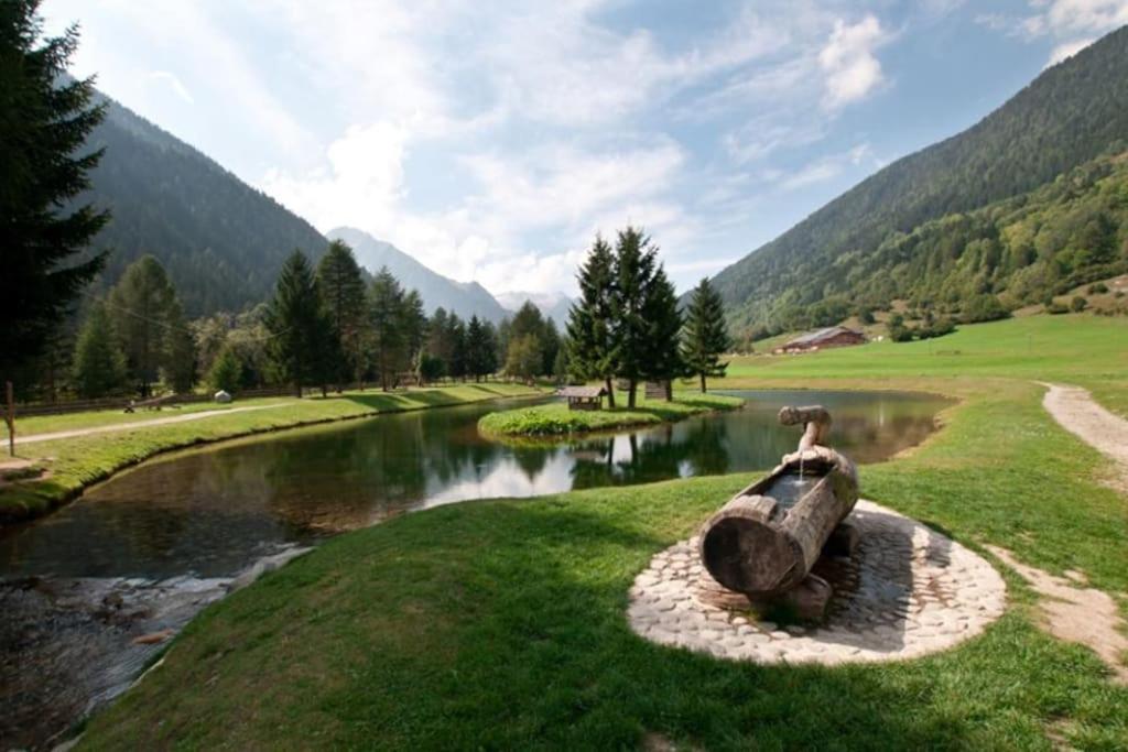 Chalet Rustico Bertolini Per Gruppi! Villa Vermiglio Eksteriør bilde