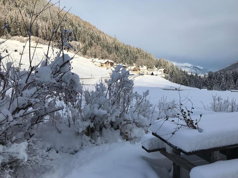 Chalet Rustico Bertolini Per Gruppi! Villa Vermiglio Eksteriør bilde