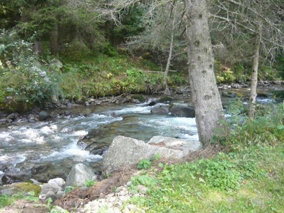 Chalet Rustico Bertolini Per Gruppi! Villa Vermiglio Eksteriør bilde