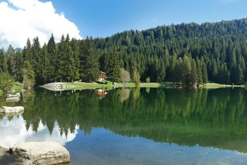 Chalet Rustico Bertolini Per Gruppi! Villa Vermiglio Eksteriør bilde