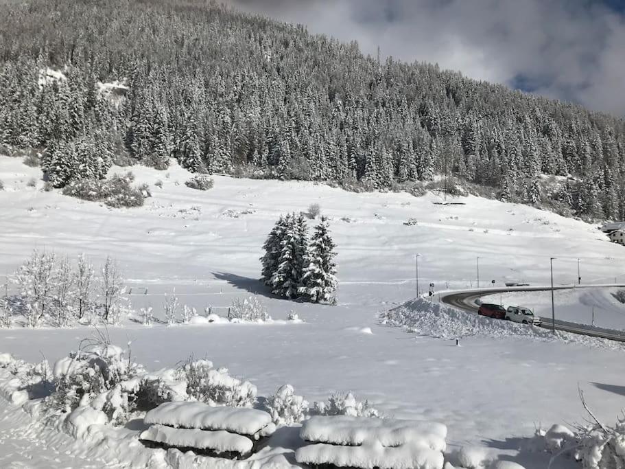 Chalet Rustico Bertolini Per Gruppi! Villa Vermiglio Eksteriør bilde